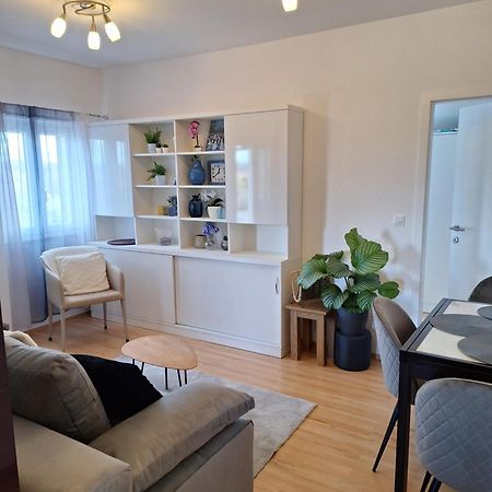 Apartment Dorina Buje Dış mekan fotoğraf