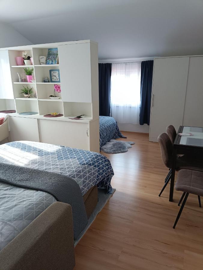 Apartment Dorina Buje Dış mekan fotoğraf