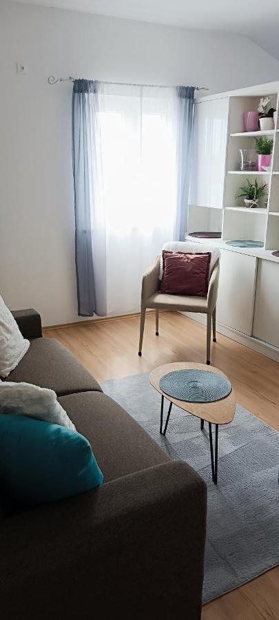 Apartment Dorina Buje Dış mekan fotoğraf