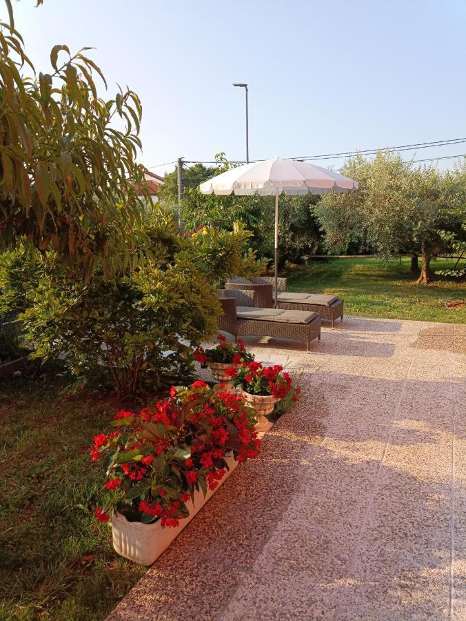 Apartment Dorina Buje Dış mekan fotoğraf