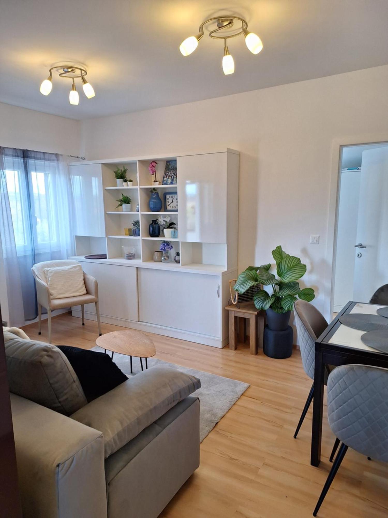 Apartment Dorina Buje Dış mekan fotoğraf