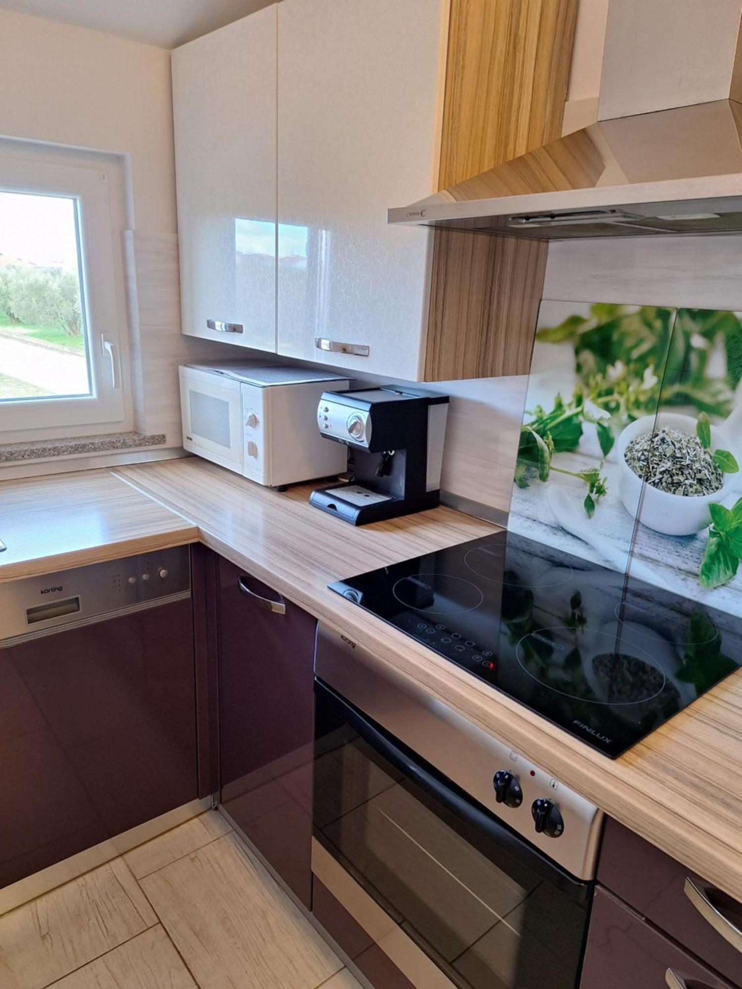 Apartment Dorina Buje Dış mekan fotoğraf