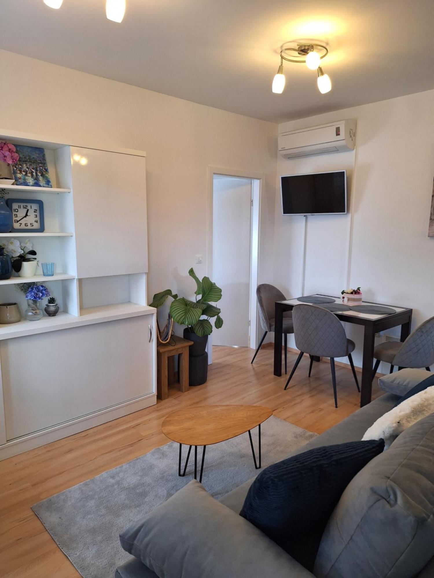 Apartment Dorina Buje Dış mekan fotoğraf