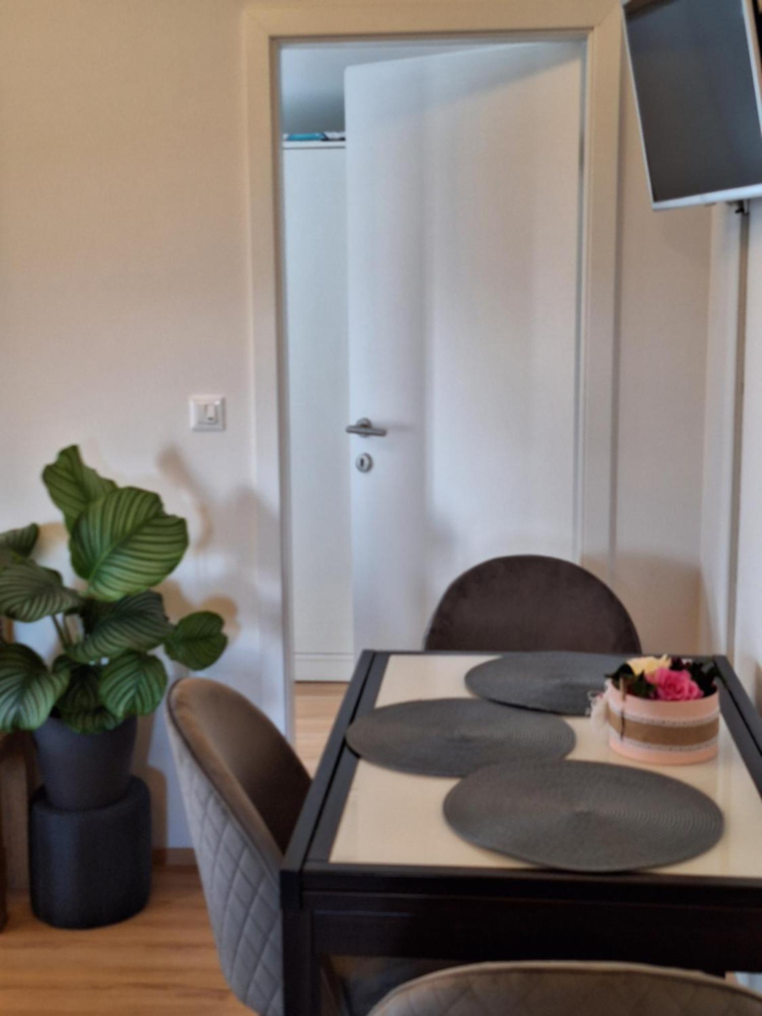 Apartment Dorina Buje Dış mekan fotoğraf