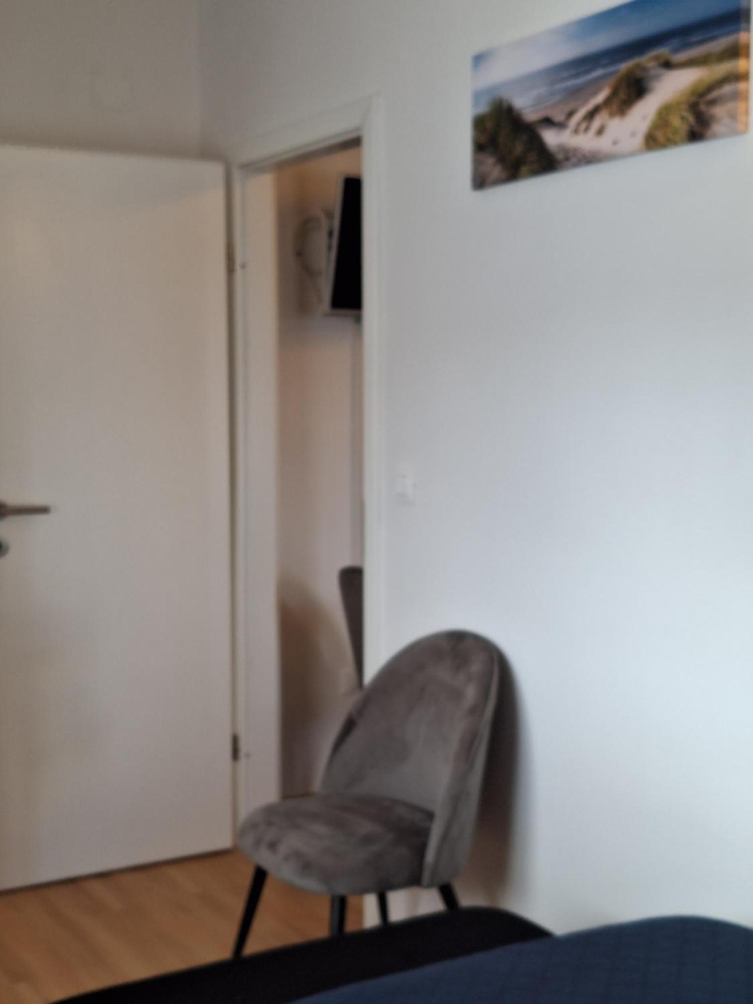 Apartment Dorina Buje Dış mekan fotoğraf