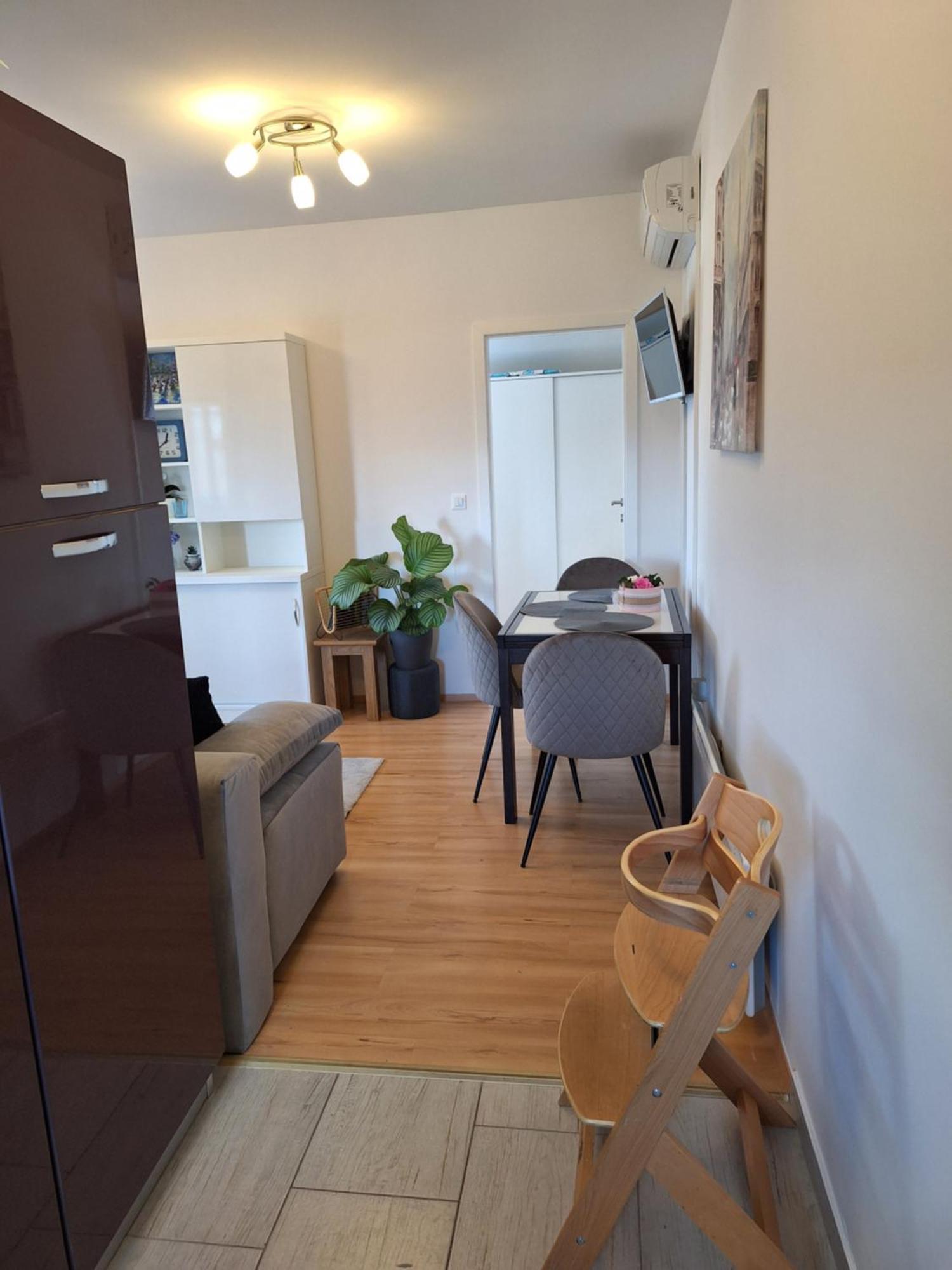 Apartment Dorina Buje Dış mekan fotoğraf