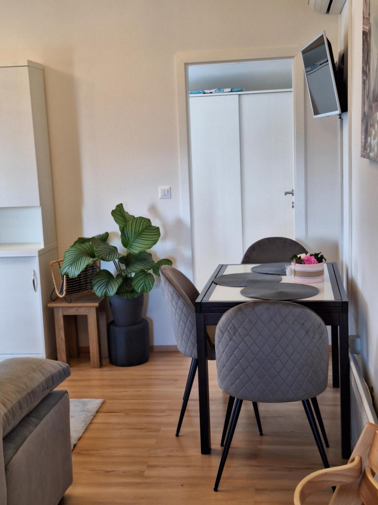 Apartment Dorina Buje Dış mekan fotoğraf