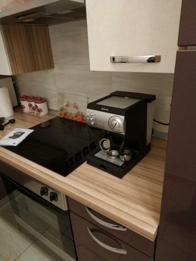 Apartment Dorina Buje Dış mekan fotoğraf