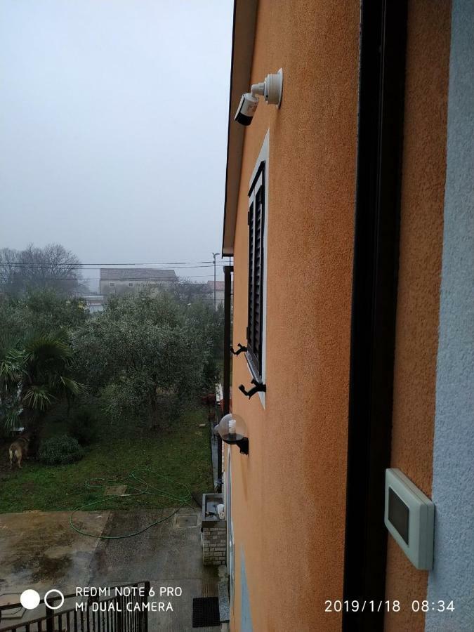 Apartment Dorina Buje Dış mekan fotoğraf