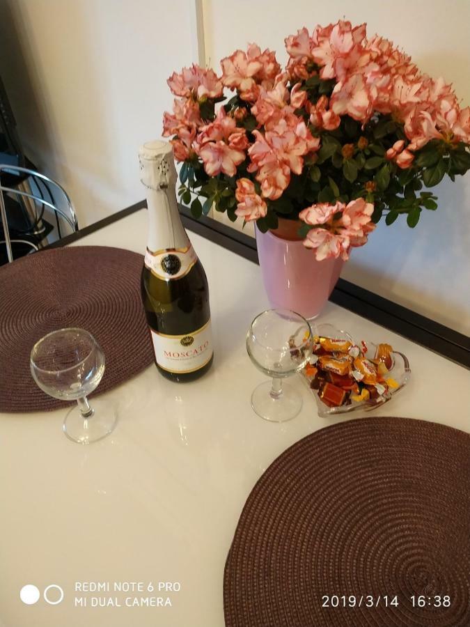 Apartment Dorina Buje Dış mekan fotoğraf