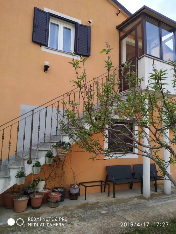 Apartment Dorina Buje Dış mekan fotoğraf
