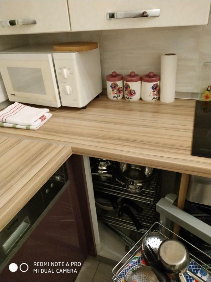 Apartment Dorina Buje Dış mekan fotoğraf