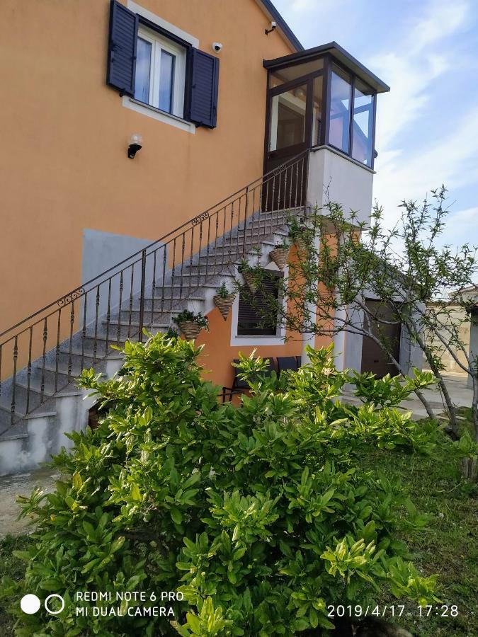 Apartment Dorina Buje Dış mekan fotoğraf