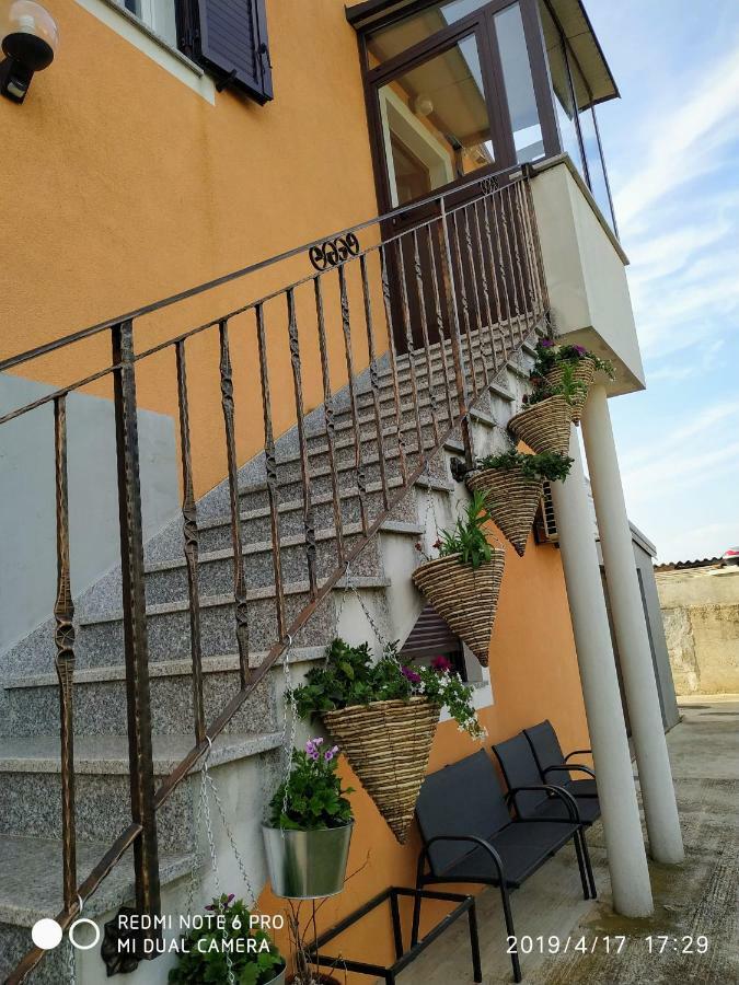 Apartment Dorina Buje Dış mekan fotoğraf
