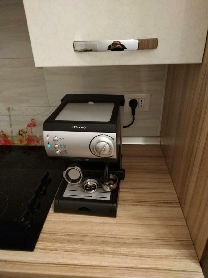 Apartment Dorina Buje Dış mekan fotoğraf