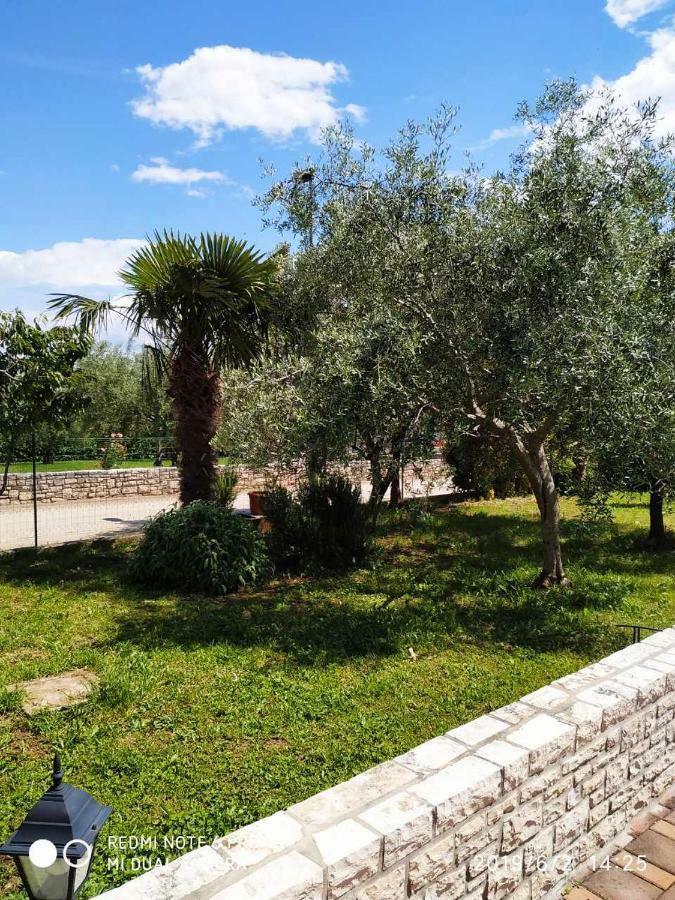 Apartment Dorina Buje Dış mekan fotoğraf