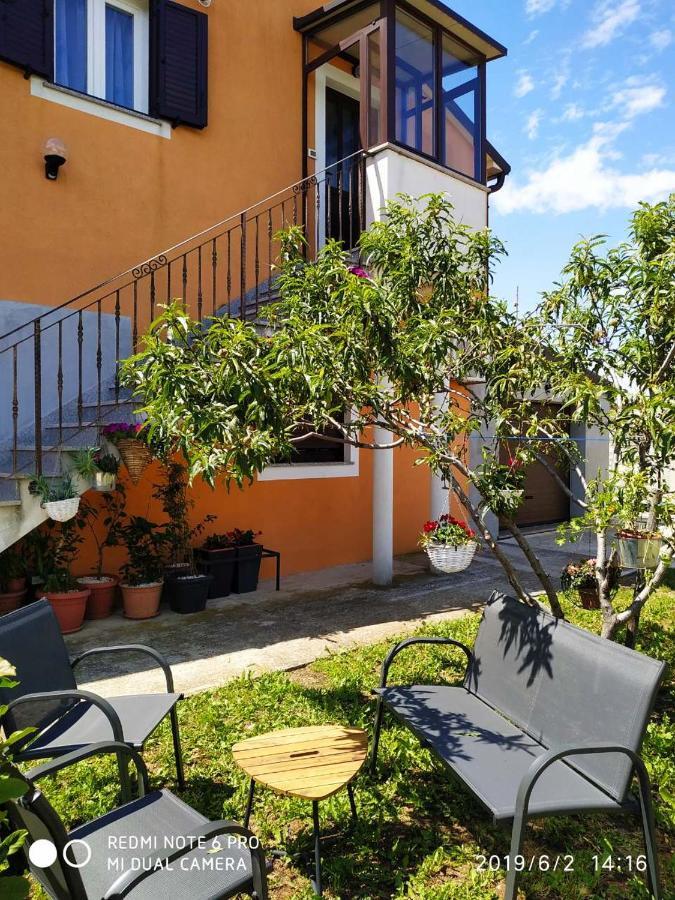 Apartment Dorina Buje Dış mekan fotoğraf