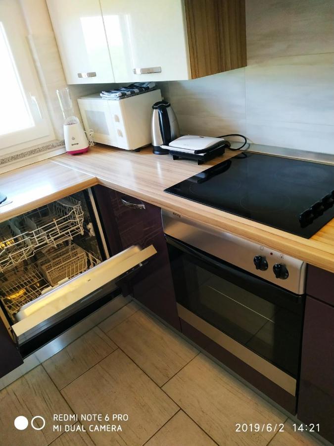 Apartment Dorina Buje Dış mekan fotoğraf