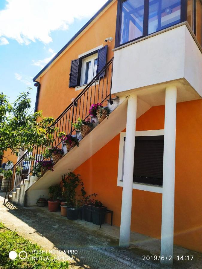 Apartment Dorina Buje Dış mekan fotoğraf